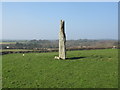 Ty-Wyn Standing Stone in LL59 5RW