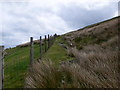 Fence on Bwlch y Pentre in LL21 0SB