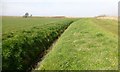 Ditch Between Farmland And Footpath in PR9 8JL