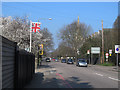 Stratheden Road on a spring day in SE3 7BG