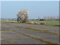 Blackthorn, Wisley airfield in GU23 6NS