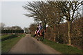 Colourful horses: riding out from Field Farm Equestrian Centre in Ember Lane in LN13 9SJ