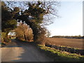 Field by the road to Wootton St Lawrence in RG23 8PB