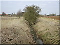 The River Waring near Belchford in LN9 6LR