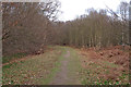 Path in Pods Wood, Messing in CO5 0ER