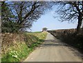 Lane to North Petherwin in PL15 8QA