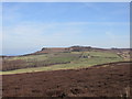 Heather moorland on Black Nab in TS14 8ES