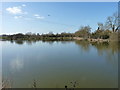 Barston Lake fishery in B92 0LS