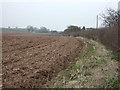 Farmland and hedgerow in NG22 0PB