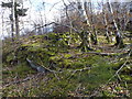 Old dyke mossed over on slopes south of Loch Tay in PH15 2NX