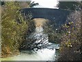 Wendover Arm - Bridge 5 - Drayton Beauchamp in HP23 4LB