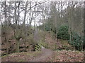 Footbridge south of Stubbs Wood in LS29 0HP