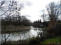 The River Chess south of Sarratt in WD3 5LX