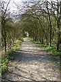 Footpath: Wendover Arm to Wilstone Reservoir in HP23 4NR