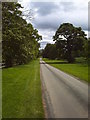 Newby Hall driveway in HG4 5AD