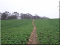 Footpath over fields in NG22 0EQ