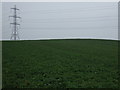 Crop field and power lines in NG22 0EQ