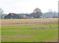 Bassett's Farm. Long zoom shot from the Chelmer canal path in CM3 4BY