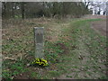 Memorial to Wellington Bomber Crew LP286 on the SE edge of Chipping Warden in Chipping Warden and Edgcote
