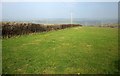 Field by Burrow Cottage in Warbstow