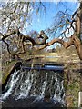Weir on the River Chess, Latimer in HP6 6RU