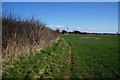 Path leading to Poplar Farm in HU16 5SA