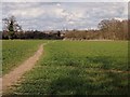 Path across Field, Ipswich Northern Fringe in IP4 3AZ