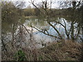 Sandhill Pond in Alver Valley in PO13 8FH