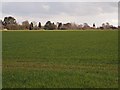 Field and back of houses on Westerfield Road, Ipswich Northern fringe in IP4 3AZ