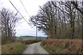 The edge of Nutcombe Copse in EX16 7NN