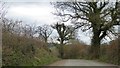 Stickle Path south of South Hele Cross in EX16 7PB