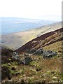 Ruined sheepfold at head of East Grain in DL11 6LJ
