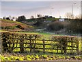 Farmland near the M66 in BL9 7HY