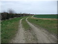 Farm track off Highbridge Road, Alvingham in LN11 0QF