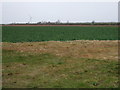 Crop field off Highbridge Road in LN11 0QJ