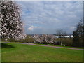 View from Alexandra Park in N11 2JL