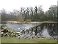 Stepping stones to cross the River Wharfe in LS29 7HP