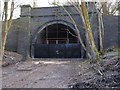 Catesby Tunnel-North Portal in Catesby