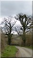 Stickle Path and the valley south of Clayhanger in EX16 7PB
