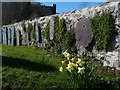 Churchyard of the parish church, Dale in SA62 3RN