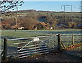 Frosty field near Hindon Lane, Tisbury in SP3 6QA