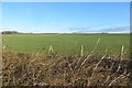 Arable land near Kirkliston in EH29 9EQ