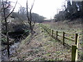 Old New Burn culvert, Walbottle Dene in NE15 9BD