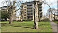 View across Rush Common towards modern apartments in Hicken Road in SW2 2LL