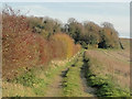 Track to Limekiln Plantation, Marham in PE33 9DH