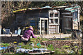 Bristol : Ashley Vale Allotments in BS7 9NL