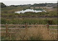 Rectangular pond south of the A4810, Llanwern in NP19 4QX