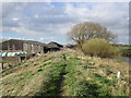 The river bank at Sicey Farm in HU7 5XX