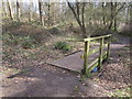 Footbridge in Skippingdale Plantation in DN15 8EP