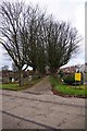 Path between trees, Yardley Cemetery, Yardley, Birmingham in B26 1ED